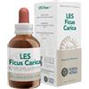FORZA VITALE ITALIA Srl LES FICUS CARICA 50ml