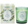 HP ITALIA Srl Candela 180g Lime/foglie/menta