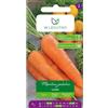 W.Legutko Carota commestibile Lenka - media precoce