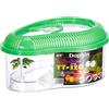 ICA TT-320 Tartaruga con Coperchio Dophin, assortimento: Colori Casuali, Verde