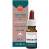 ERBA VITA GROUP SpA Erba Vita Olio Essenziale Finocchio, 10 ml