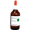 Arcangea RIBES NIGRUM CIRCULATUM GEMMODERIVATO 33 BIO 100 ML