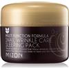 Mizon Multi Function Formula Snail 80 ml