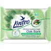 Linteo Wet Toilet Paper 60 pz
