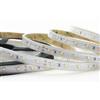 Intec STRIP LED 2835 DC24V IN KAPTON E SILICONE 60 LED PER MT 14W PER MT 1542LM PER MT 3000K IP67 1X500CM
