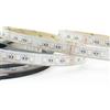 Intec STRIP LED 5050 DC24V IN KAPTON E SILICONE 60 LED PER MT 19,2W PER MT 5400LM PER MT RGB + 4000k IP68 5mt