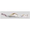 Intec STRIP LED COB DIGITALE 24V 15W PER MT RGB 500CM IP20