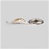 Intec STRIP LED SMD 2835 24V 11W/M 1200LM 6500K IP67 CRI>90 PCB8MM CUT50MM ROTOLO 5M