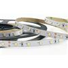 Intec STRIP LED 2835 DC24V IN KAPTON 60 LED PER MT 14W PER MT 1542LM PER MT 6000K 0,8X500CM