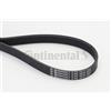 CONTITECH Cinghia Poly-V CONTITECH 6PK1870