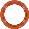 REINZ Paraolio, Albero a gomiti REINZ 81-51109-20