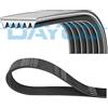 DAYCO Cinghia Poly-V DAYCO 6PK1472