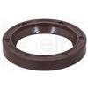 ELRING Paraolio, Albero a camme ELRING 302.589