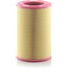 MANN-FILTER Filtro aria MANN-FILTER C 31 1410