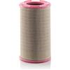 MANN-FILTER Filtro aria MANN-FILTER C 30 1500