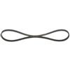 BOSCH Cinghia Poly-V BOSCH 1 987 948 308