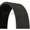 CONTITECH Cinghie con nervatura a V CONTITECH 12PK1830
