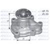 DOLZ Pompa dell'acqua DOLZ O133