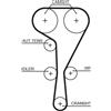 GATES Cinghia dentata GATES 5550XS