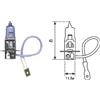 MAGNETI MARELLI Lampadina, fendinebbia MAGNETI MARELLI 002553100000