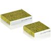 MANN-FILTER Filtro, aria interna MANN-FILTER FP 21 000-2