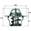BEHR Termostato, refrigerante BEHR TX 4 83D