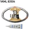SKF Kit catena distribuzione SKF VKML 83504