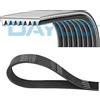 DAYCO Cinghie con nervatura a V DAYCO 8PK1202HD