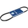 MEYLE Cinghie con nervatura a V MEYLE 050 004 0962
