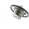 VEMO Termostato, refrigerante VEMO V25-99-1722