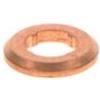 BOSCH Anello tenuta, Portainiettore BOSCH F 00V P01 009