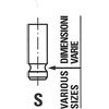 FRECCIA Valvola di ingresso FRECCIA R6370/SNT
