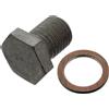FEBI BILSTEIN Tappo di tenuta, coppa dell'olio FEBI BILSTEIN 100551