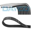 DAYCO Cinghie con nervatura a V DAYCO 8PK1180HD