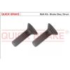 QUICK BRAKE Bullone, Disco freno QUICK BRAKE 11622K