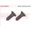 QUICK BRAKE Bullone, Disco freno QUICK BRAKE 11667K