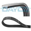 DAYCO Cinghia Poly-V DAYCO 3PK800S