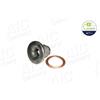 AIC Tappo di tenuta, coppa dell'olio AIC 52677