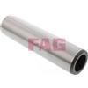 FAG Perno di articolazione, assale a raggiera FAG 830 0039 30