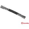 BREMBO Flessibile del freno BREMBO T 06 033