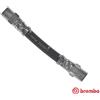 BREMBO Flessibile del freno BREMBO T 06 034