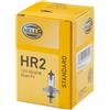HELLA Lampadina, Faro di profondità HELLA 8GD 002 088-141