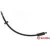 BREMBO Flessibile del freno BREMBO T 85 056