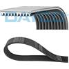 DAYCO Cinghia Poly-V DAYCO 10PK1960HD