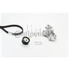 CONTITECH Set pompa acqua e cinghia dentata CONTITECH CT1189WP1