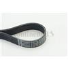 CONTITECH Cinghia Poly-V CONTITECH 8PK954 EXTRA