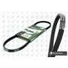 BGA Cinghia Poly-V BGA 3PK850