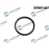 Dr.Motor Automotive Guarnizione, Alloggiam. termostato Dr.Motor Automotive DRM01467