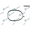 Dr.Motor Automotive Guarnizione, Alloggiam. collettore aspirazione Dr.Motor Automotive DRM0863
