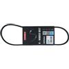 KAMOKA Cinghia Poly-V KAMOKA 7013006
